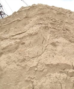 Cát Vàng Tây Ninh